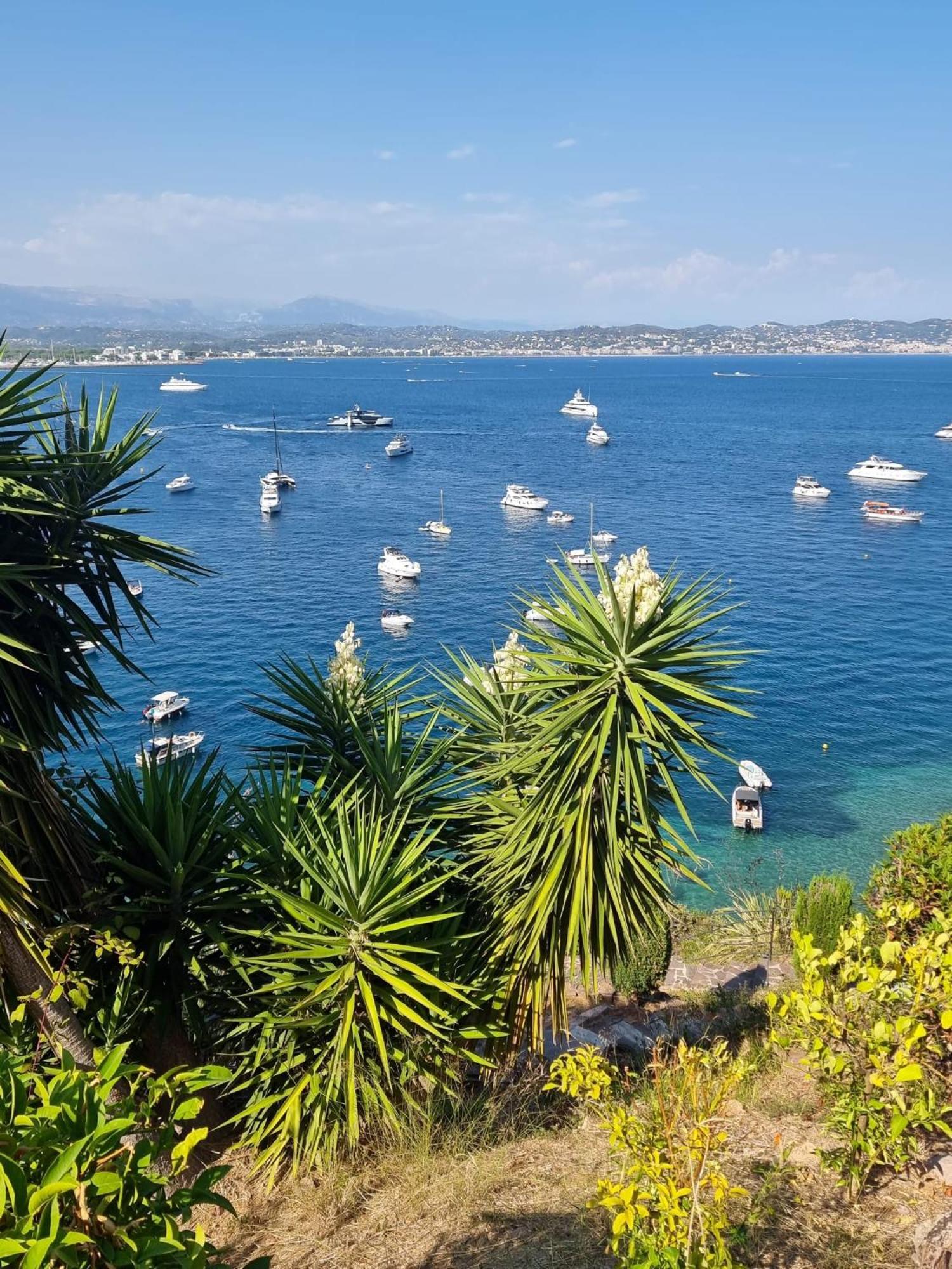 Villas And Suites La Coraillere Resort Théoule-sur-Mer Exteriör bild